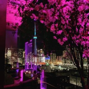 Meet your Posher, Shelley